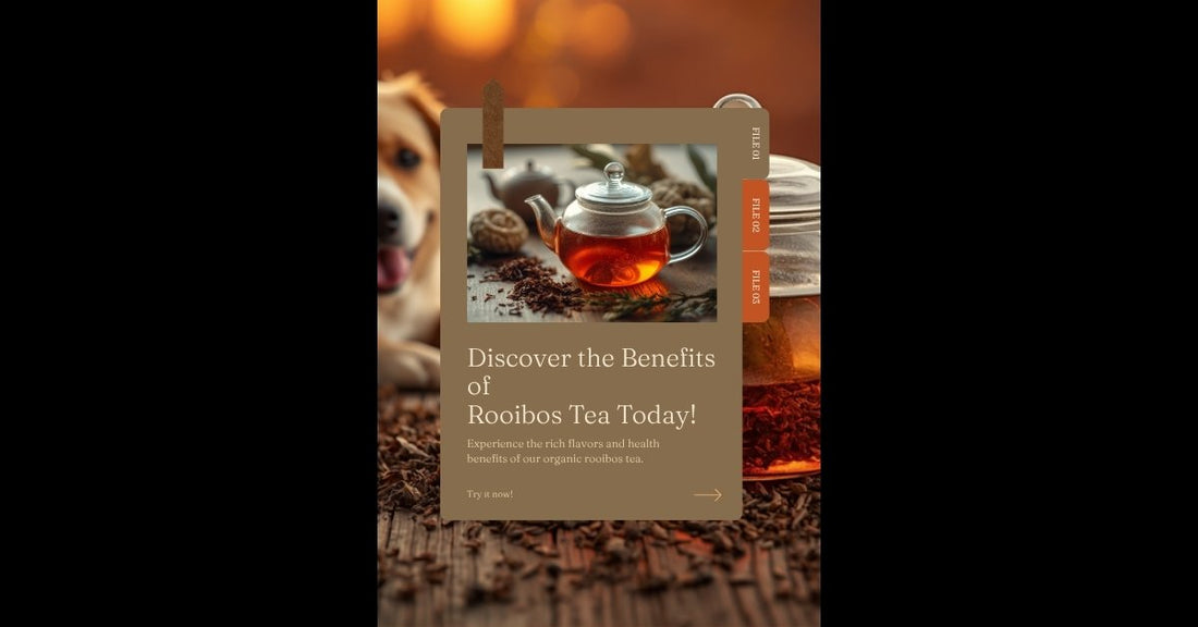 Benefits of Rooibos Tea for Tea and Dog Lovers