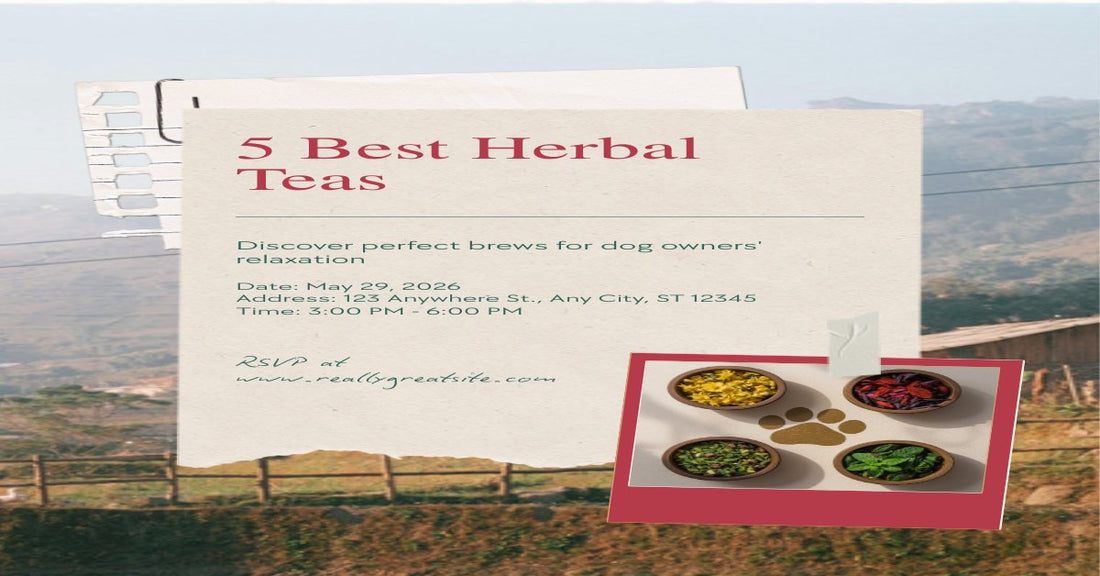5 Best Herbal Teas for Dog Owners
