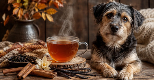 CinnaMutt Vanilla Tea: Cozy Cinnamon Black Tea