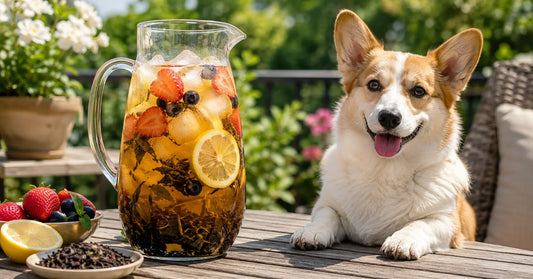 Is Cold Brew Tea Healthy?