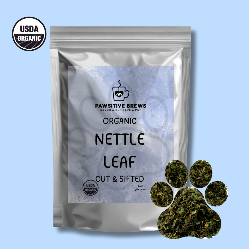 Organic nettle leaf nutrient-rich wellness herbal tea by Pawsitive Brews